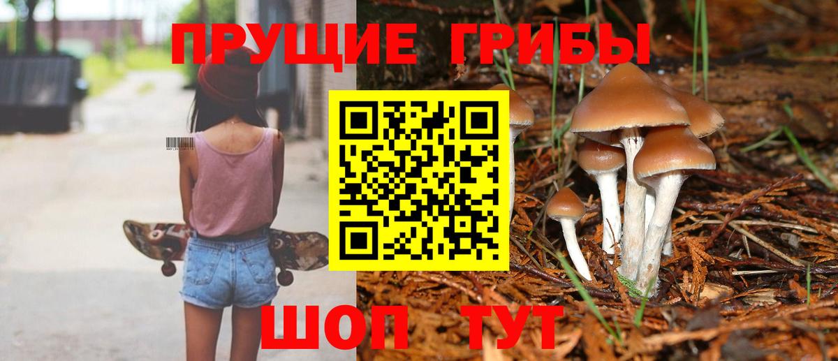 Галлюциногенные грибы Magic Shrooms Юрга