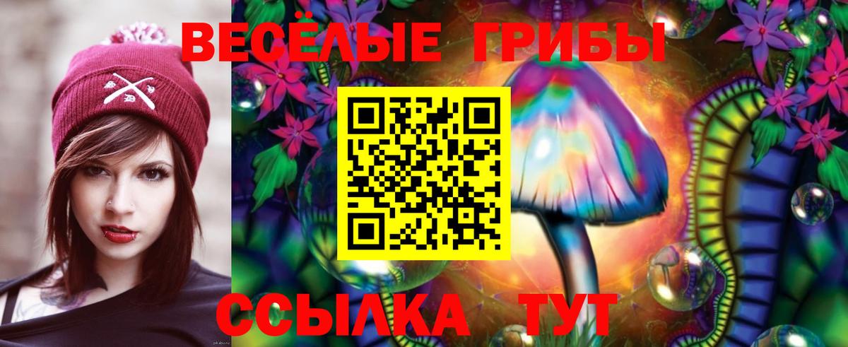 Псилоцибиновые грибы GOLDEN TEACHER  Вход с VPN  Галлюциногенные грибы MAGIC MUSHROOMS  Юрга 